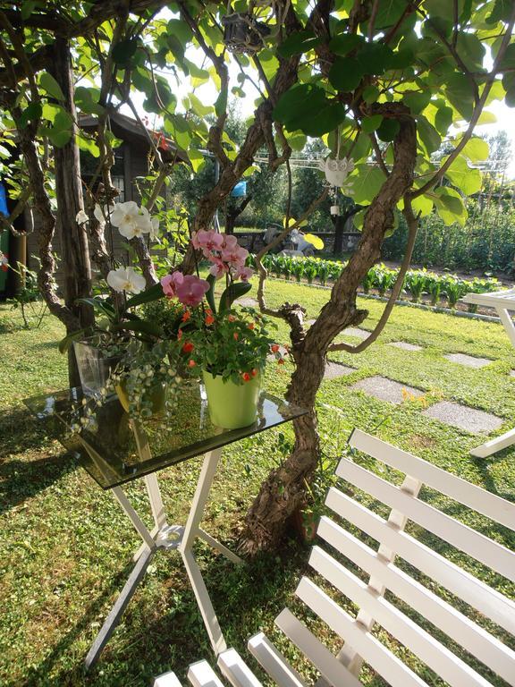 Il Volo Apartman Lucca Szoba fotó