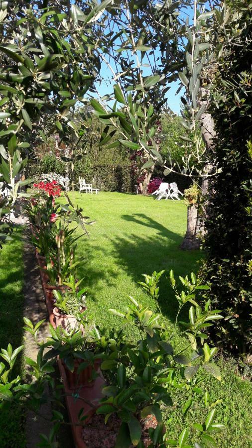 Il Volo Apartman Lucca Kültér fotó