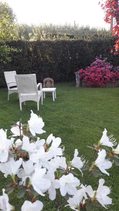 Il Volo Apartman Lucca Kültér fotó